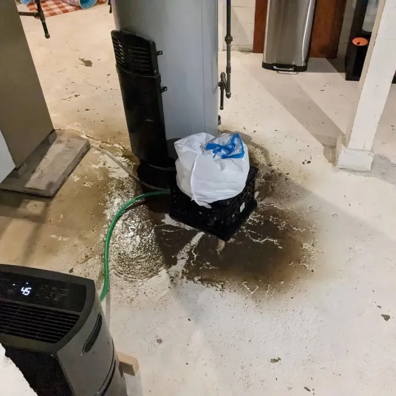 Sewage Backup Cleanup Service in Utuado barrio-pueblo, PR